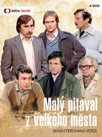 Movie poster for Malý pitaval z velkého města