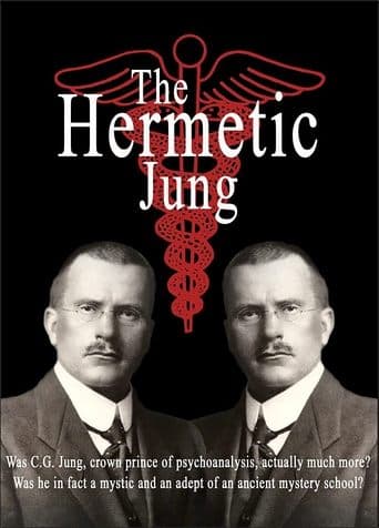 Movie poster for The Hermetic Jung