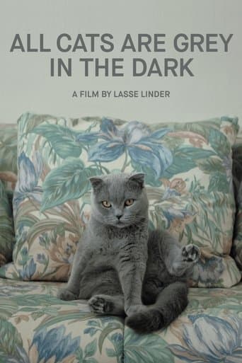 Movie poster for All Cats Are Grey in the Dark