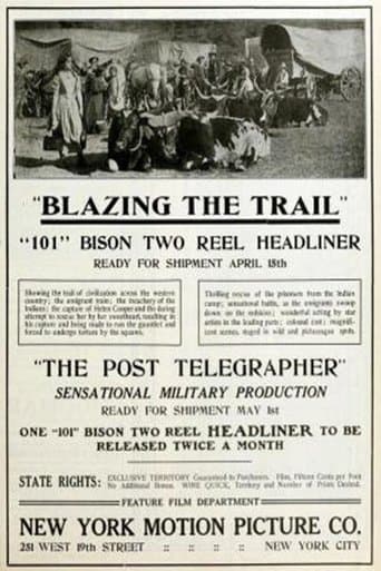 Movie poster for The Post Telegrapher