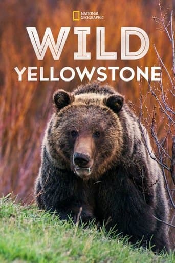 Movie poster for Wild Yellowstone
