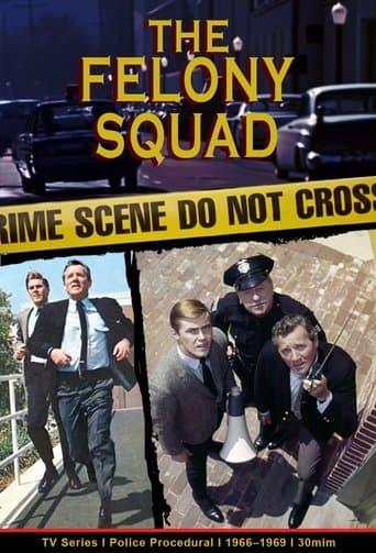 Movie poster for Felony Squad