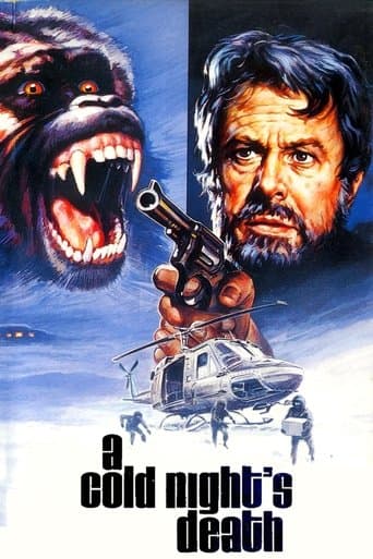 Movie poster for A Cold Night's Death