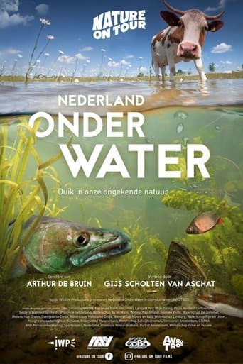 Movie poster for Nederland onder water