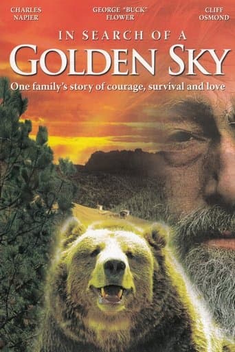 Movie poster for In Search of a Golden Sky