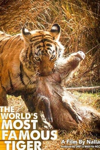 Movie poster for The World's Most Famous Tiger