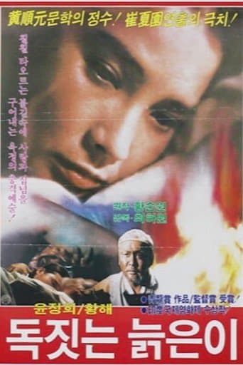 Movie poster for An Old Potter