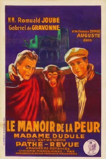 Movie poster for The Manor House of Fear