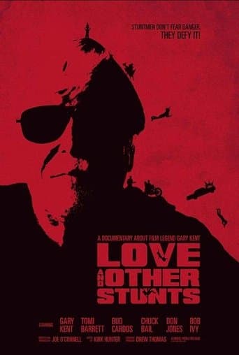 Movie poster for Love and Other Stunts