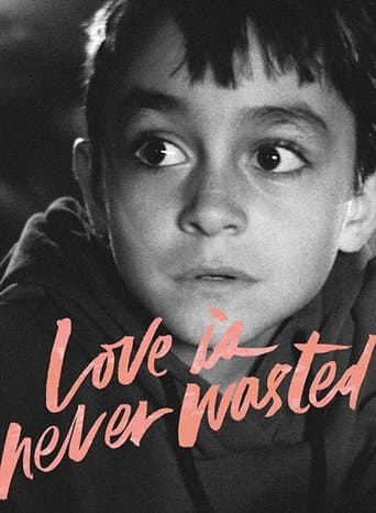 Movie poster for Love Is Never Wasted