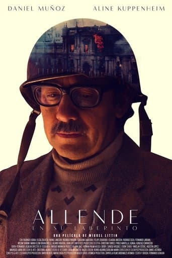 Movie poster for Allende in His Maze