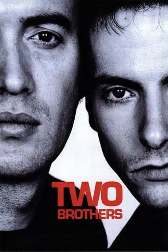 Movie poster for Two Brothers