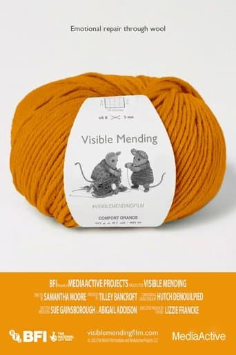 Movie poster for Visible Mending