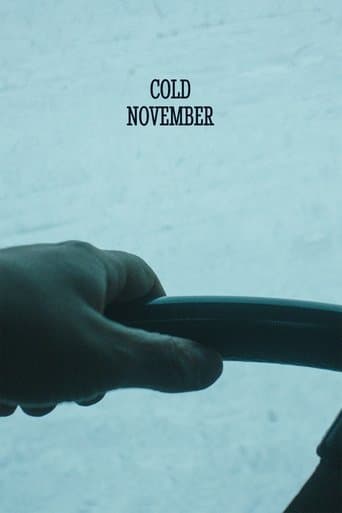 Movie poster for Cold November