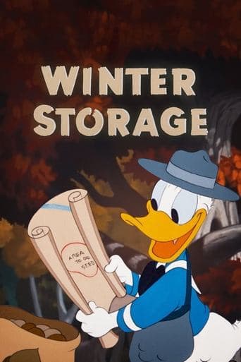 Movie poster for Winter Storage
