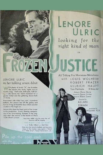 Movie poster for Frozen Justice
