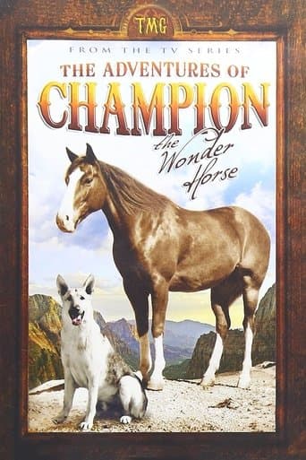 Movie poster for The Adventures of Champion