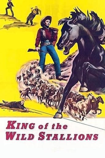 Movie poster for King of the Wild Stallions