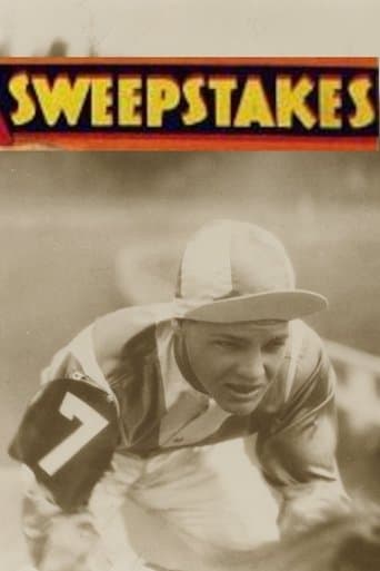 Movie poster for Sweepstakes