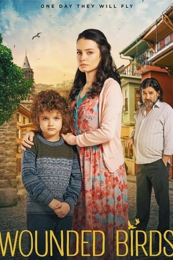 Movie poster for Wounded Birds