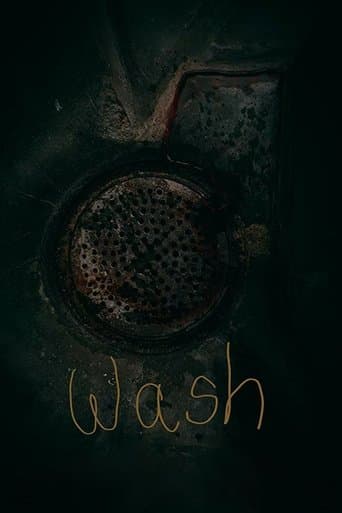 Movie poster for Wash