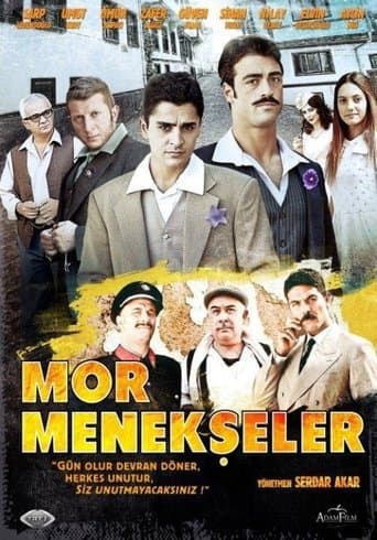 Movie poster for Mor Menekşeler