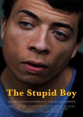 Movie poster for The Stupid Boy