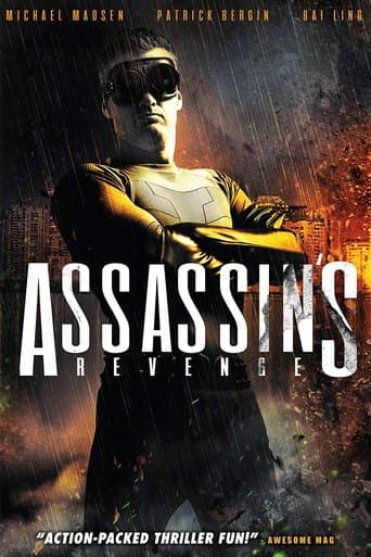 Movie poster for Assassins Revenge