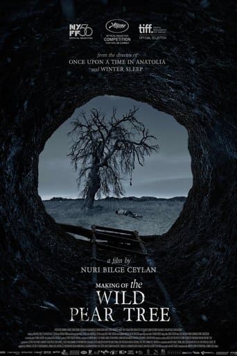 Movie poster for Making of The Wild Pear Tree