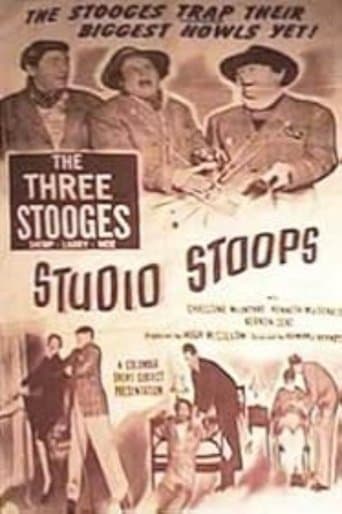 Movie poster for Studio Stoops