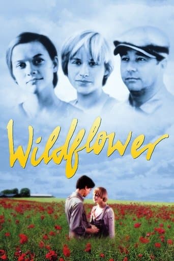 Movie poster for Wildflower