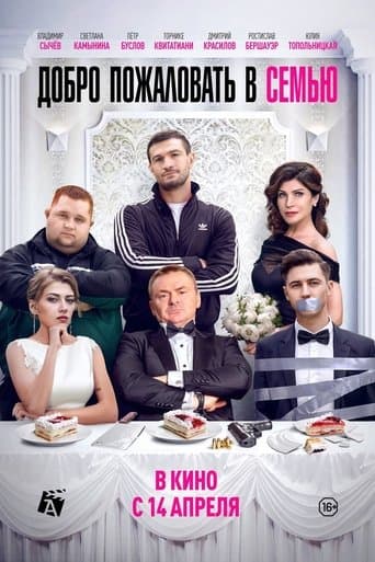 Movie poster for Welcome to the Family