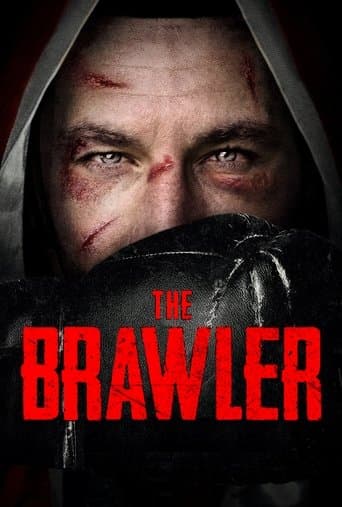 Movie poster for The Brawler