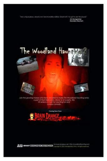 Movie poster for The Woodland Haunting 2
