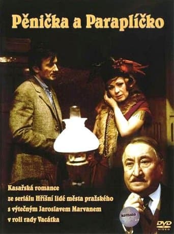 Movie poster for Burglar and Umbrella