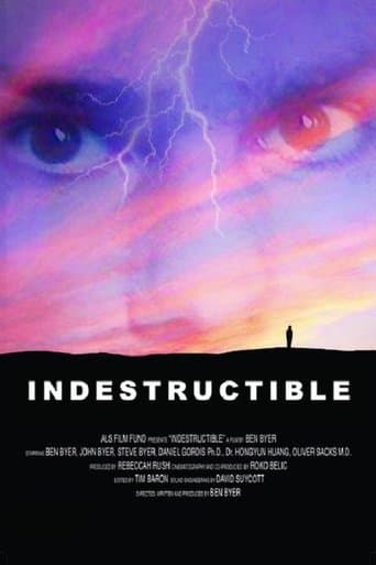 Movie poster for Indestructible