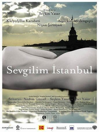 Movie poster for Istanbul, My Love