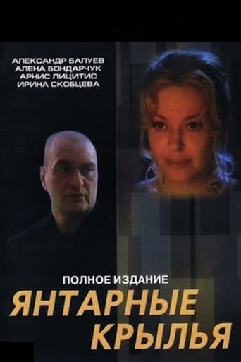Movie poster for Amber Wings