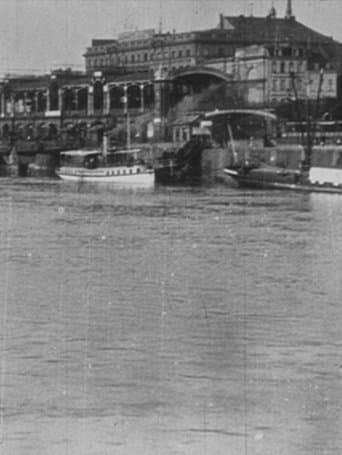Movie poster for Panorama pris d'un bateau
