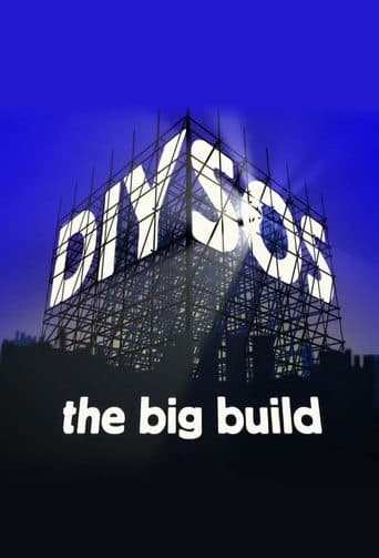Movie poster for DIY SOS