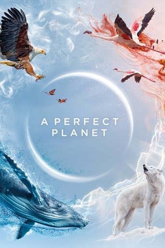 Movie poster for A Perfect Planet