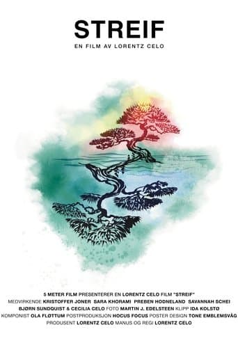 Movie poster for Streif