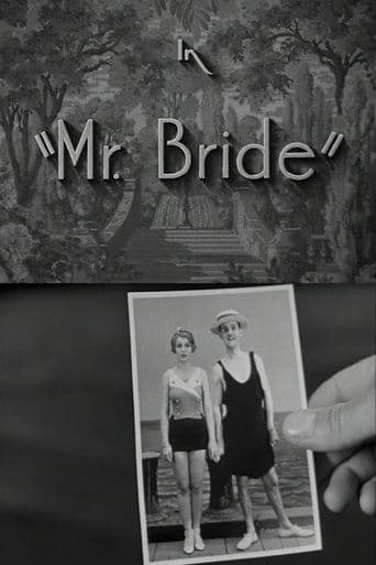 Movie poster for Mr. Bride