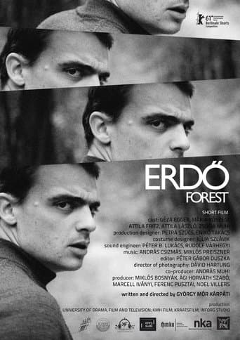 Movie poster for Forest