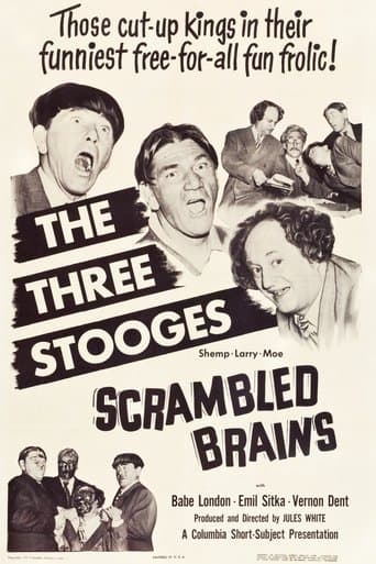 Movie poster for Scrambled Brains