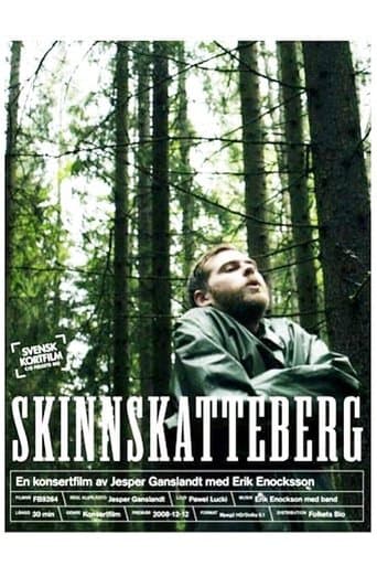 Movie poster for Skinnskatteberg