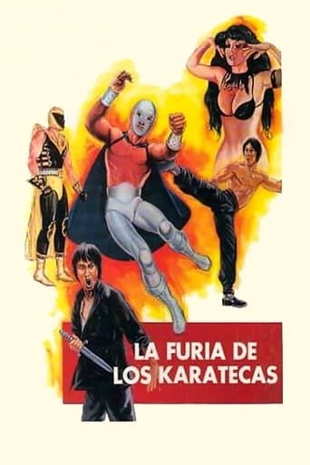 Movie poster for The Fury of the Karate Experts