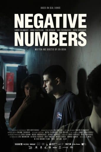 Movie poster for Negative Numbers