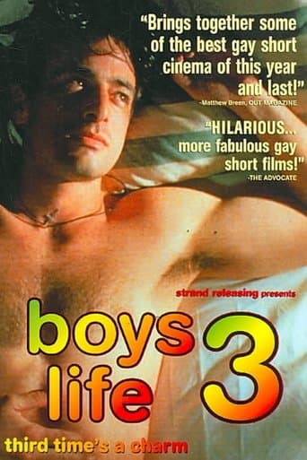 Movie poster for Boys Life 3