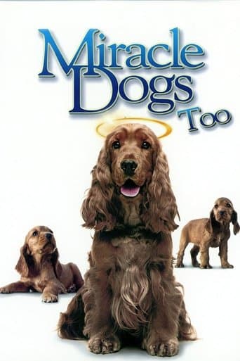 Movie poster for Miracle Dogs Too